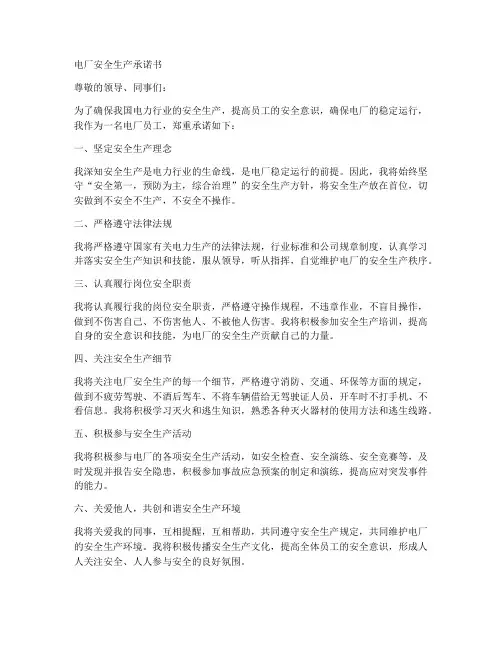 电厂安全产生承诺书