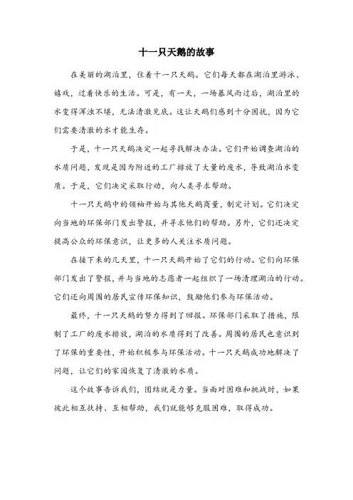 十一只天鹅的故事