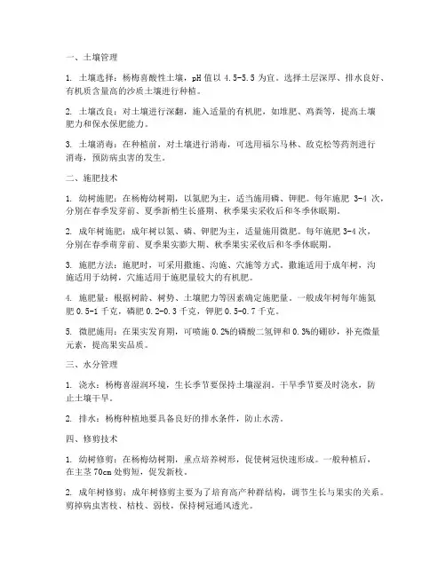 杨梅种植施肥管理技术要点