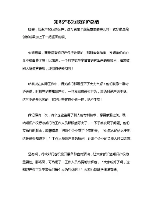 知识产权行政保护总结