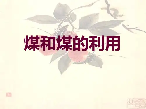煤和煤的利用PPT课件