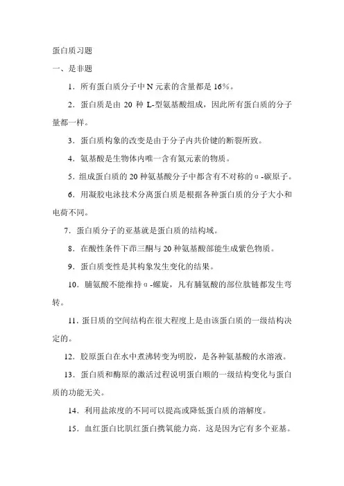 生物化学第一章蛋白质习题含答案