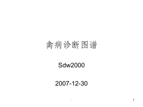 禽病诊断图谱