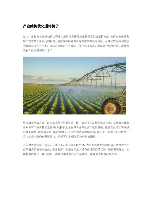 产业结构优化通俗例子