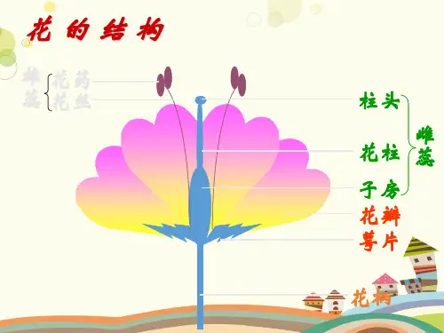 《第二节植物的有性生殖》 省赛获奖-完整版课件