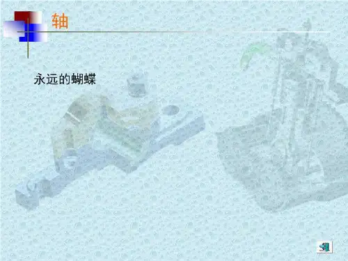 永远的蝴蝶