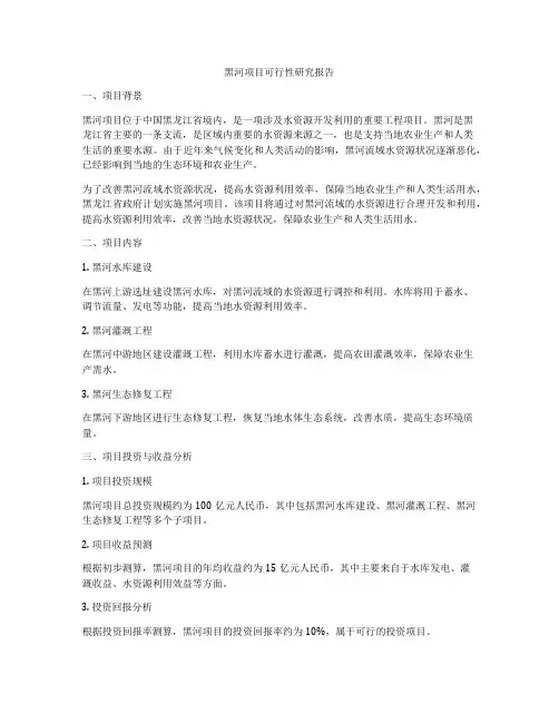 黑河项目可行性研究报告