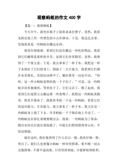 观察蚂蚁的作文400字