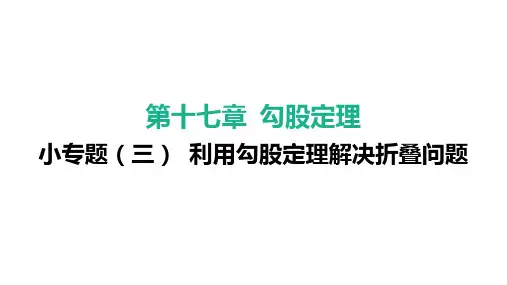 小专题(三) 利用勾股定理解决折叠问题