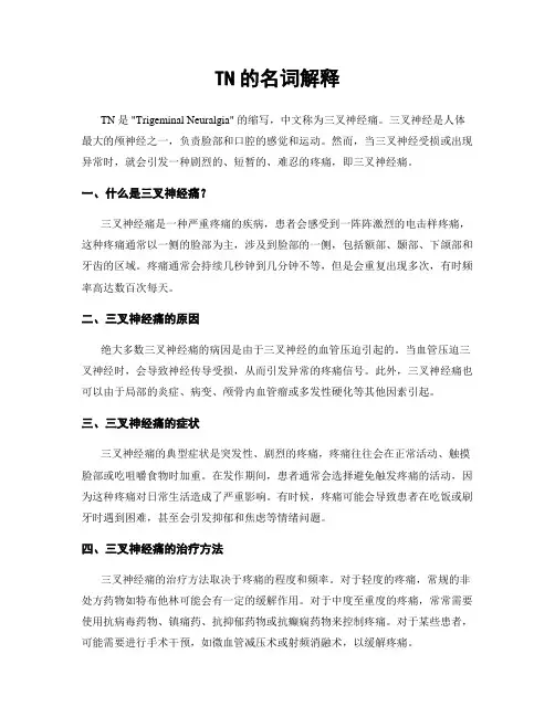 TN的名词解释