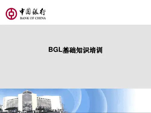 BGL培训课件