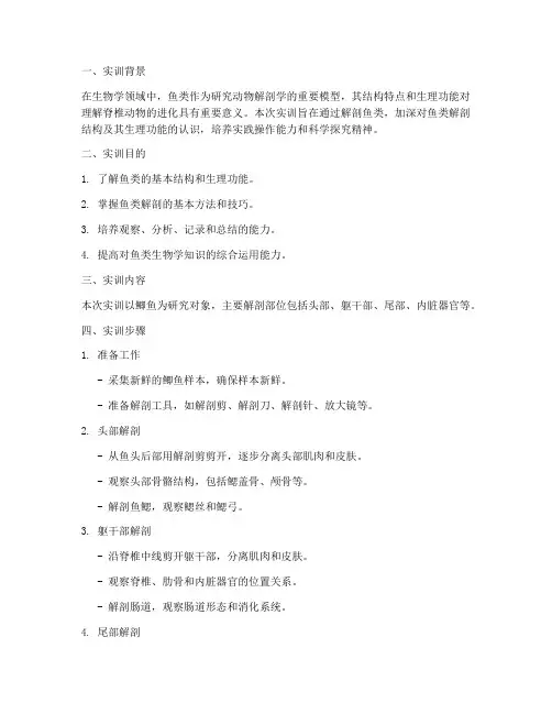 解剖鱼实训报告