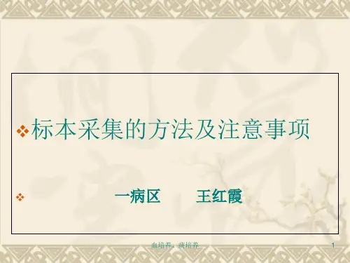 血培养、痰培养 PPT