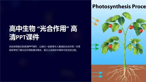高中生物“光合作用”高清PPT课件