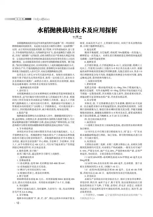 水稻抛秧栽培技术及应用探析
