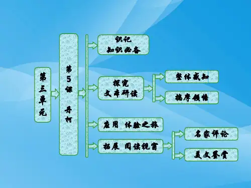 选修外国小说欣赏第5课《丹柯》ppt导学课件(人教版)语文课件PPT