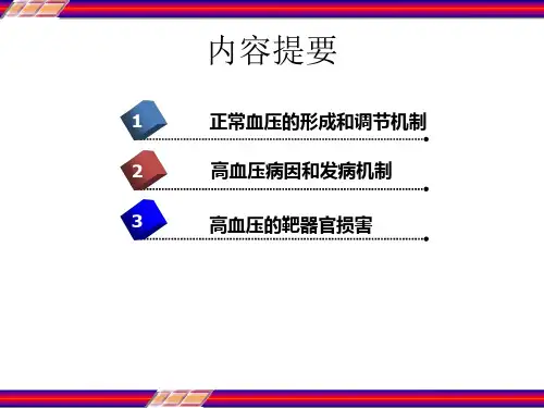 高血压的发病机制-PPT课件.pptx