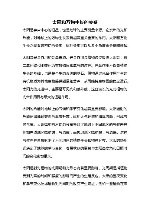 太阳和万物生长的关系