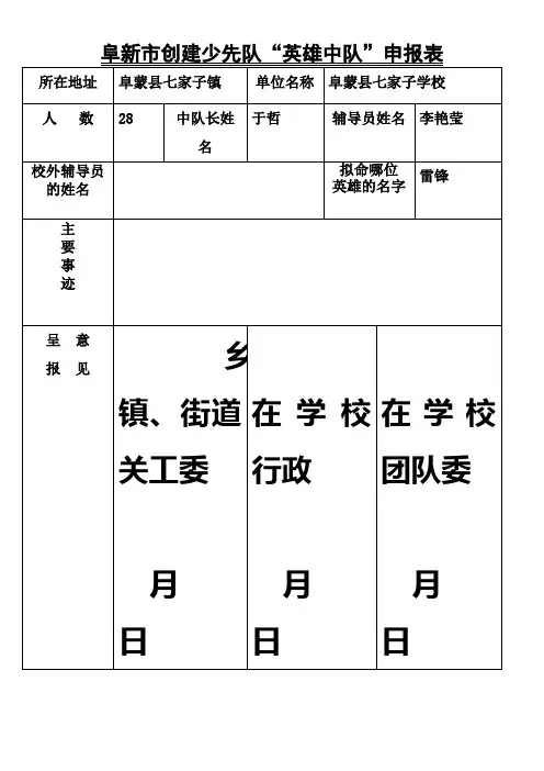 英雄中队申报表