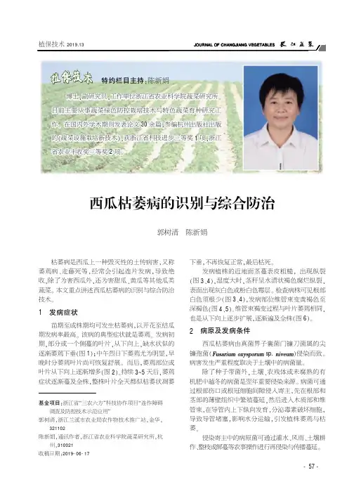 西瓜枯萎病的识别与综合防治