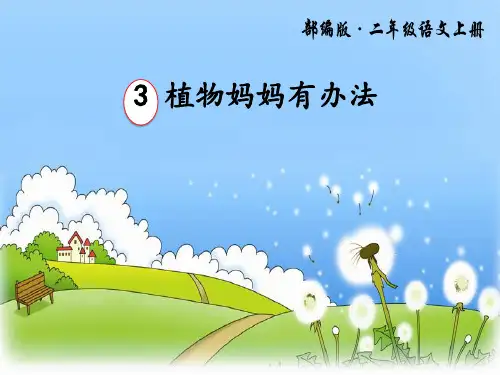 部编版植物妈妈有办法PPT课件
