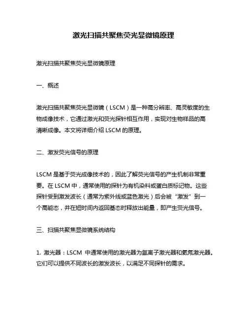 激光扫描共聚焦荧光显微镜原理
