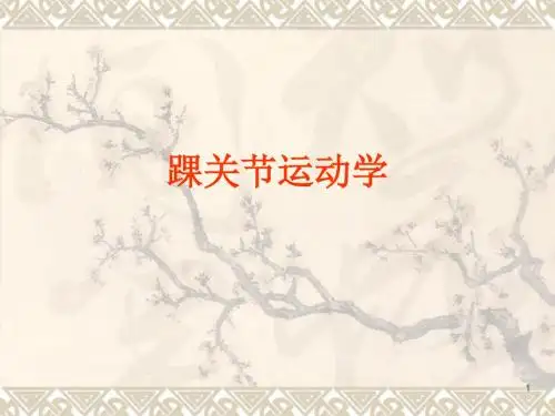 踝关节运动学ppt课件