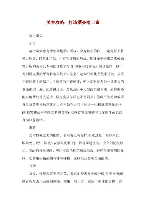 美容攻略：打造漂亮哈士奇