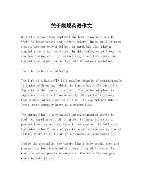 关于蝴蝶英语作文