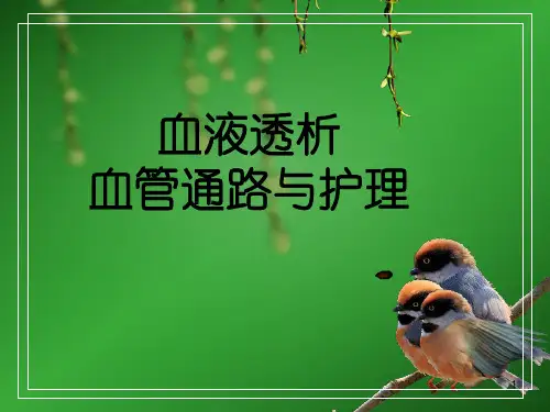 血液透析血管通路与护理ppt课件