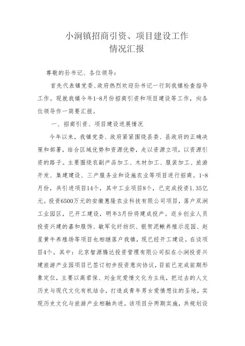 招商引资、项目建设工作
