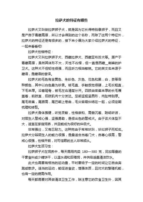 拉萨犬的特征有哪些