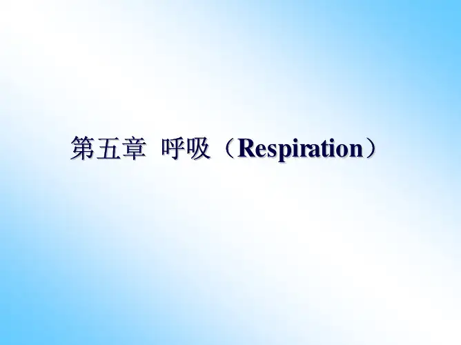 生理学  呼吸系统