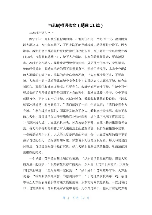 与苏轼相遇作文(精选11篇)