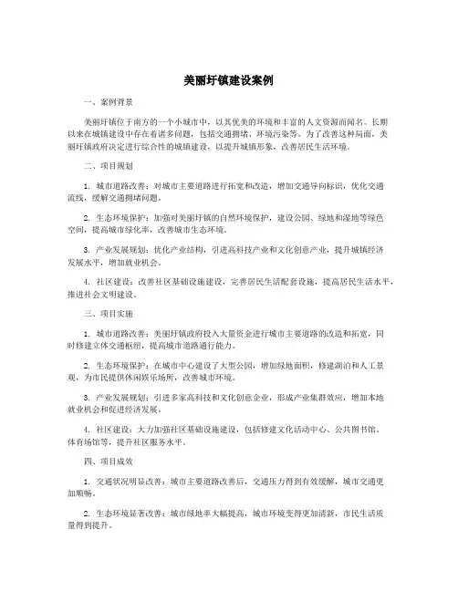 美丽圩镇建设案例