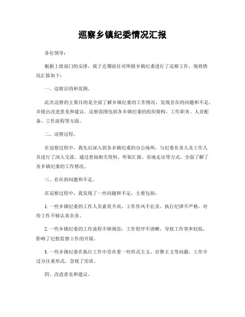 巡察乡镇纪委情况汇报