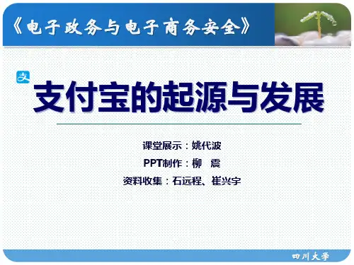支付宝的起源与发展  案例分析