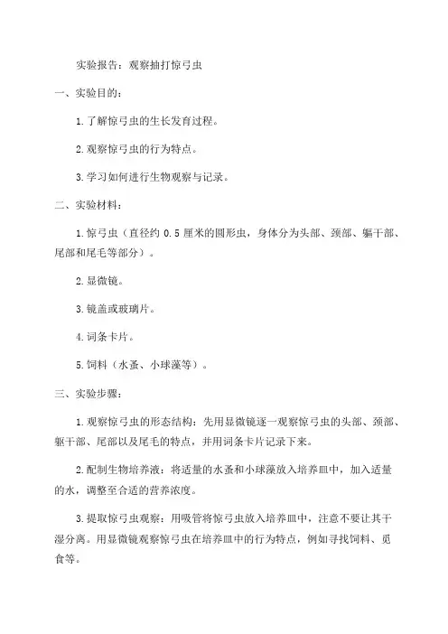 生物八年级实验报告单
