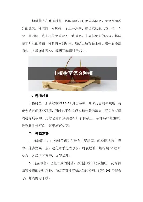 山楂树苗怎么种植