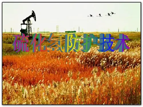 硫化氢培训讲义