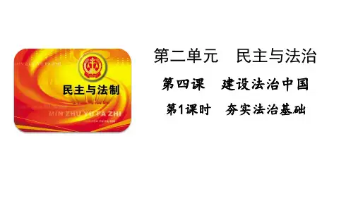 人教版道德与法治九年级上册夯实法治基础课件126112
