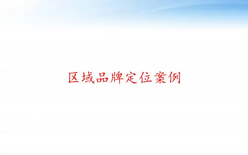 区域品牌定位案例 ppt课件
