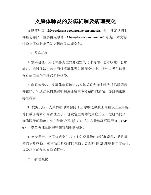 支原体肺炎的发病机制及病理变化