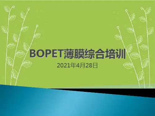 《BOPET薄膜培训》幻灯片PPT