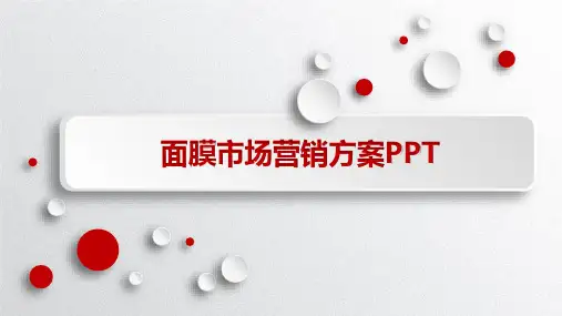 面膜市场营销方案PPT