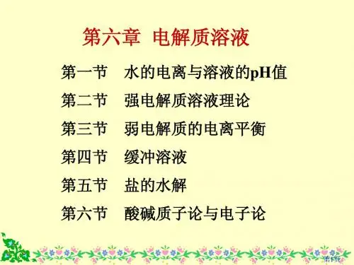 第六章  电解质溶液(8)