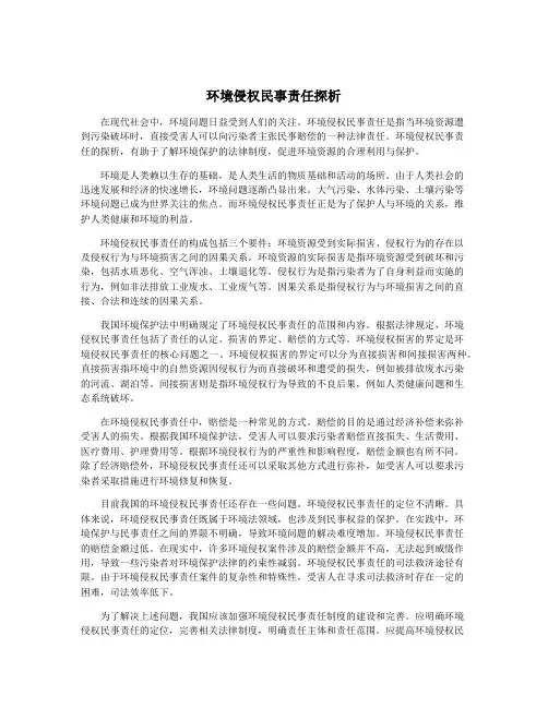 环境侵权民事责任探析
