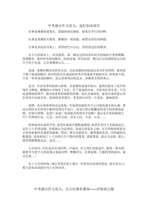 中考满分作文记叙文范文精选100篇