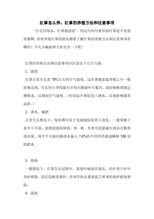 红掌怎么养,红掌的养殖方法和注意事项.doc