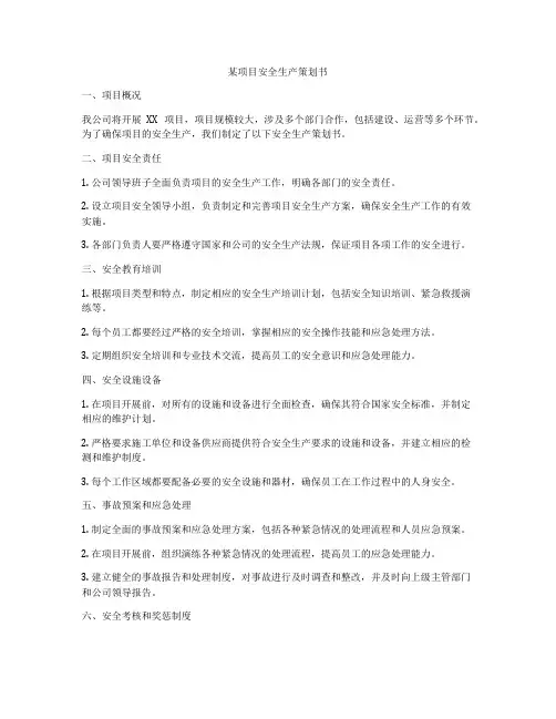 某项目安全生产策划书